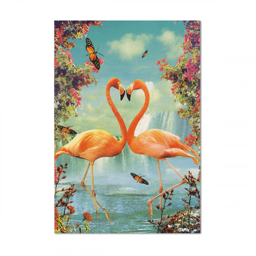 Two Flamingoes Postcard