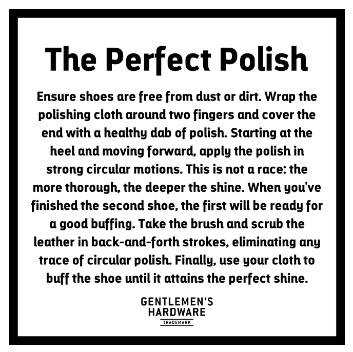 Mens shoe 2025 shine kit