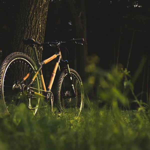 Ajusco (MTB R29) by Bamboocycles