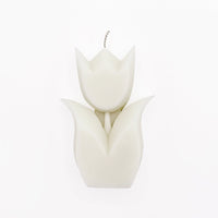 Tulip Pillar Candle (various colours)