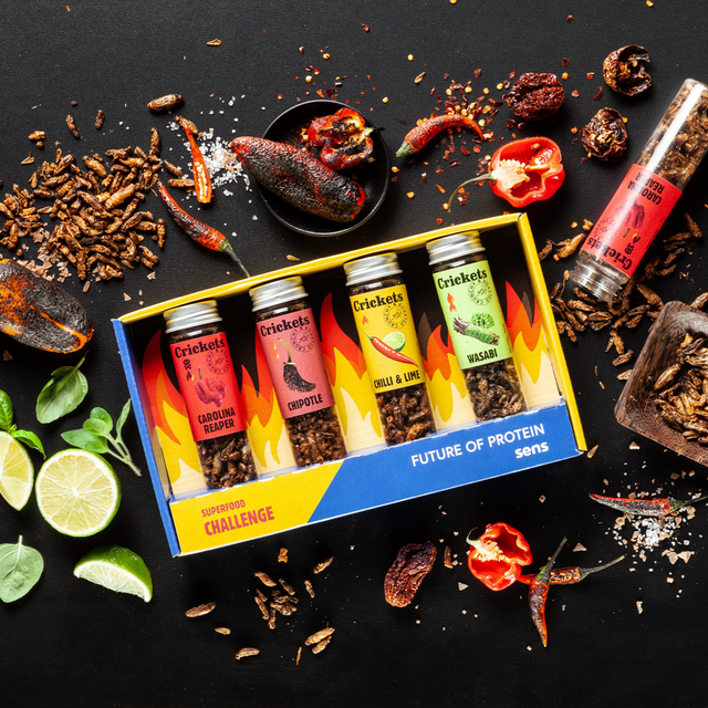 Crunchy & roasted hot crickets - 4 flavour gift set