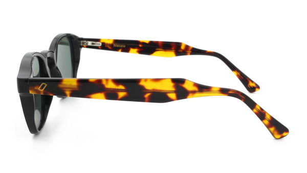 Macaw Sunglasses