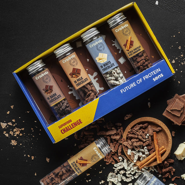Crickets in Chocolate - 4 flavour gift set
