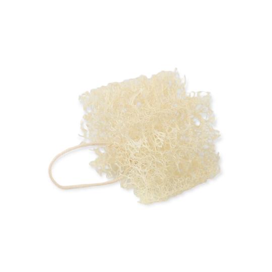 Loofah Dish Sponge