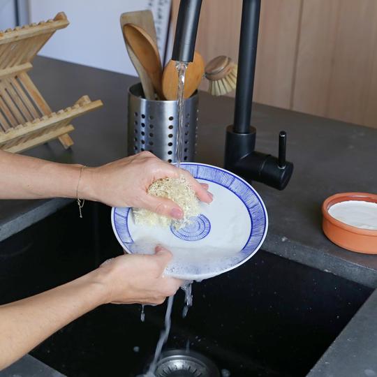 Loofah Dish Sponge