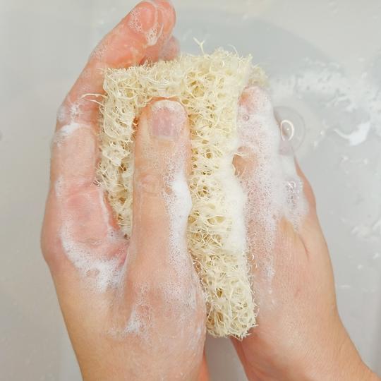 Loofah Body Sponge