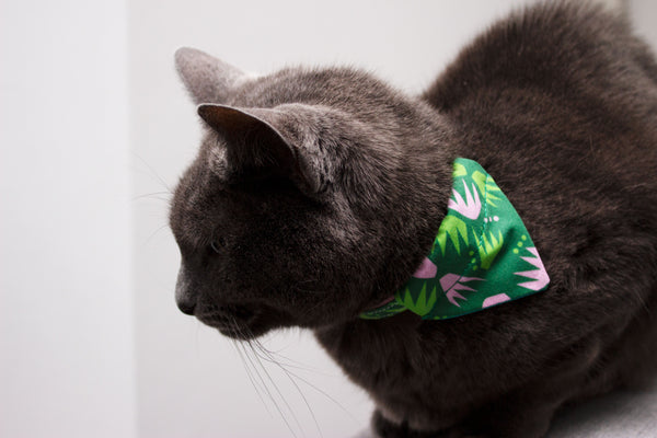 Combs Cat Bandana