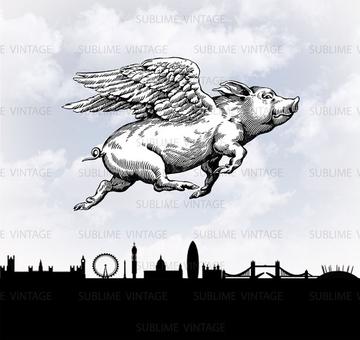 PIGS CAN FLY GREETING CARD