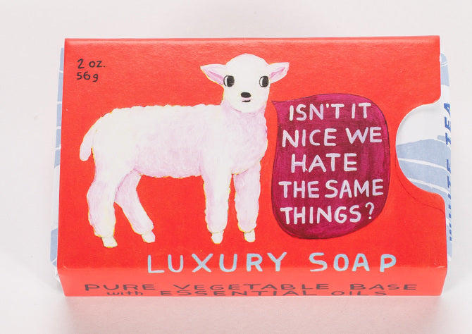 Isn't It Nice We Hate the Same Things? Soap