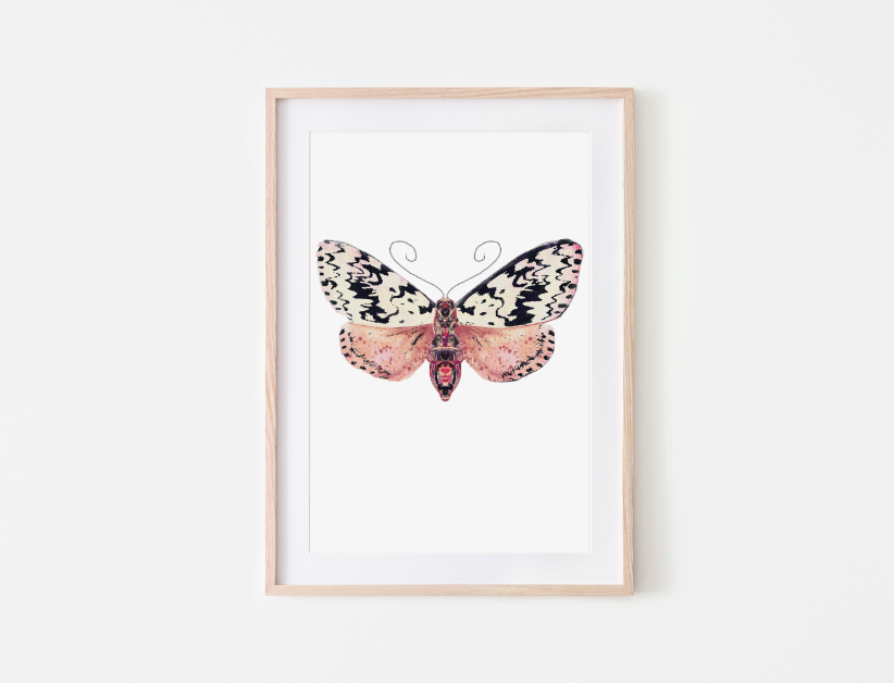 Butterfly Mot spikkels poster - A4