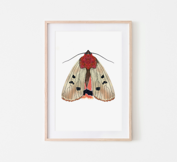 Butterfly Mot cream poster - A4