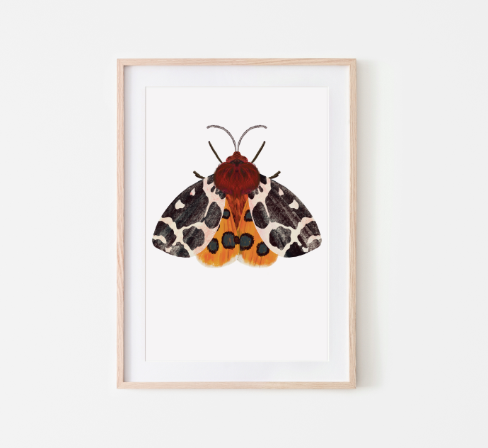 Butterfly Mot bollen poster - A4