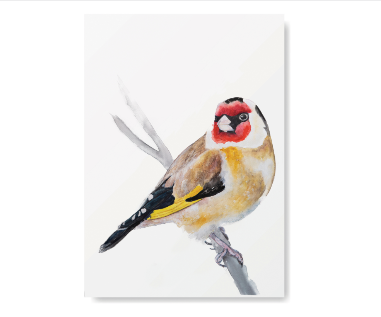 Goldfinch poster - A4