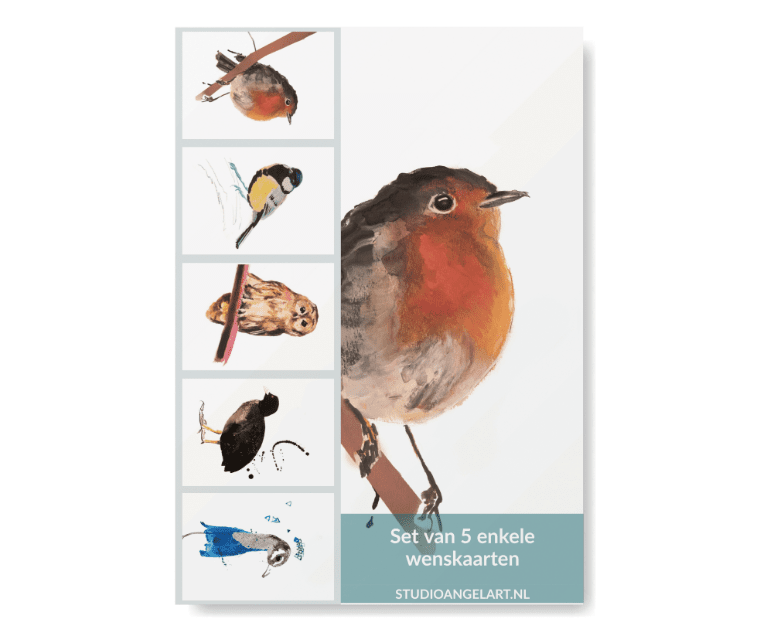 Greetings Cards - Bird set of 5 - 804 - A6