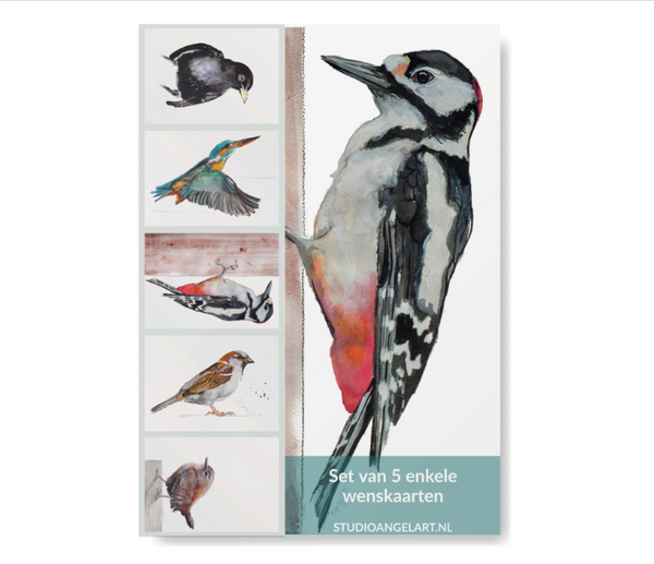 Greetings Cards - Bird set of 5 - 806 - A6