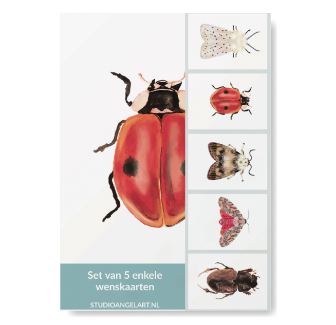 Greetings Cards - Ladybird set of 5 - 805 - A6