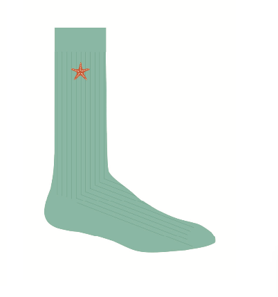 Starfish Green Socks