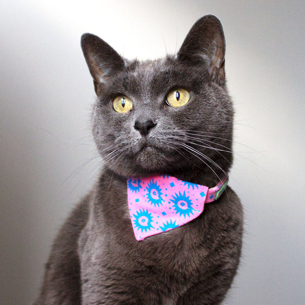 Nebula Cat Bandana