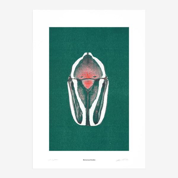 Iridescence N° 3 (Print)