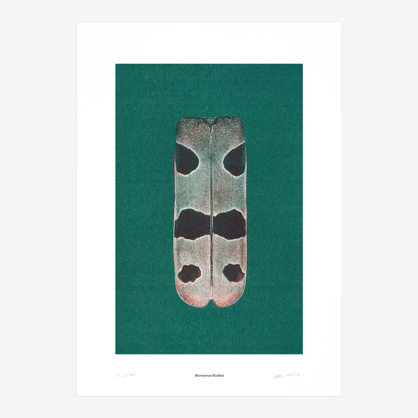 Iridescence N° 4 (Print)