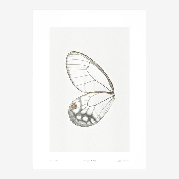 Sun Fluttering N° 2 (Print)