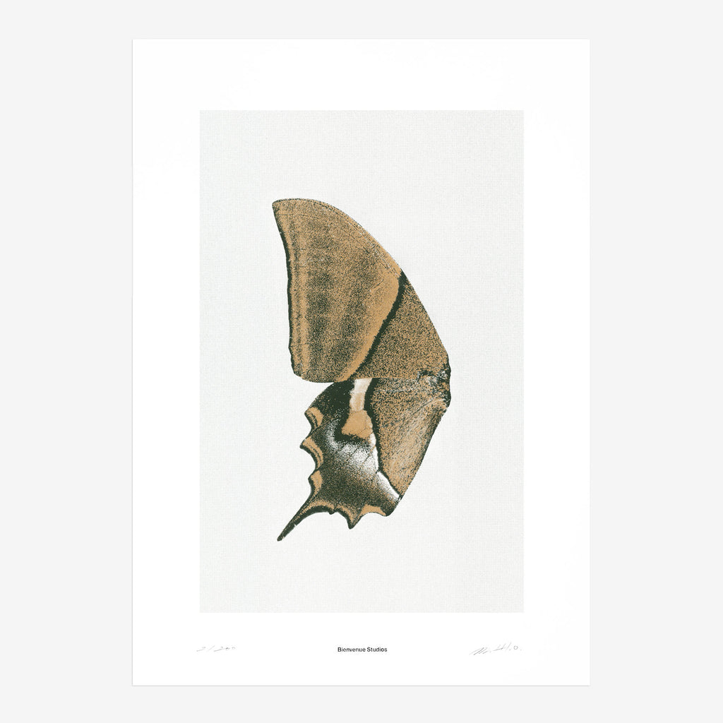 Sun Fluttering N°3 Print