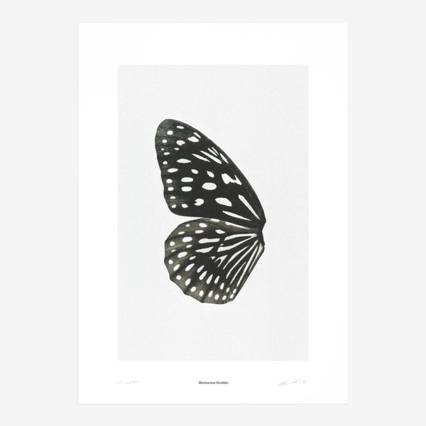 Sun Fluttering N° 4 (Print)