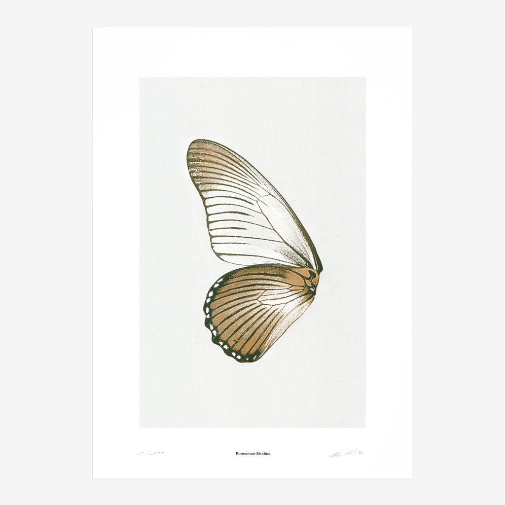 Sun Fluttering N° 5 Print
