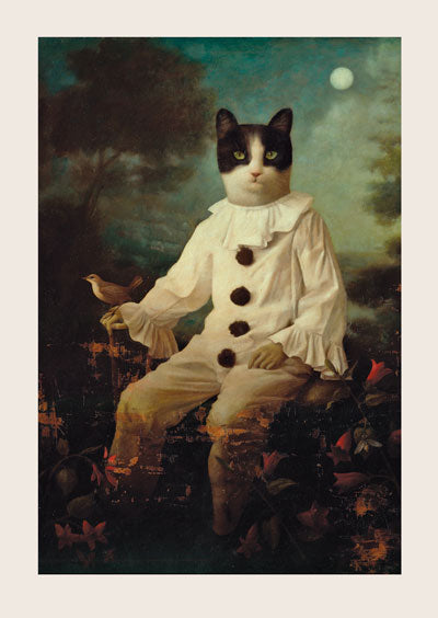 Mr. Dragotsyeni Greeting Card by Stephen Mackey