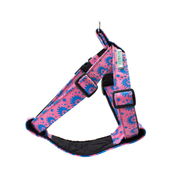 Nebula Dog Harness