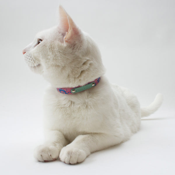 Nebula Cat Collar